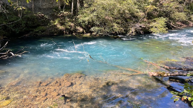 #2. Greer Spring